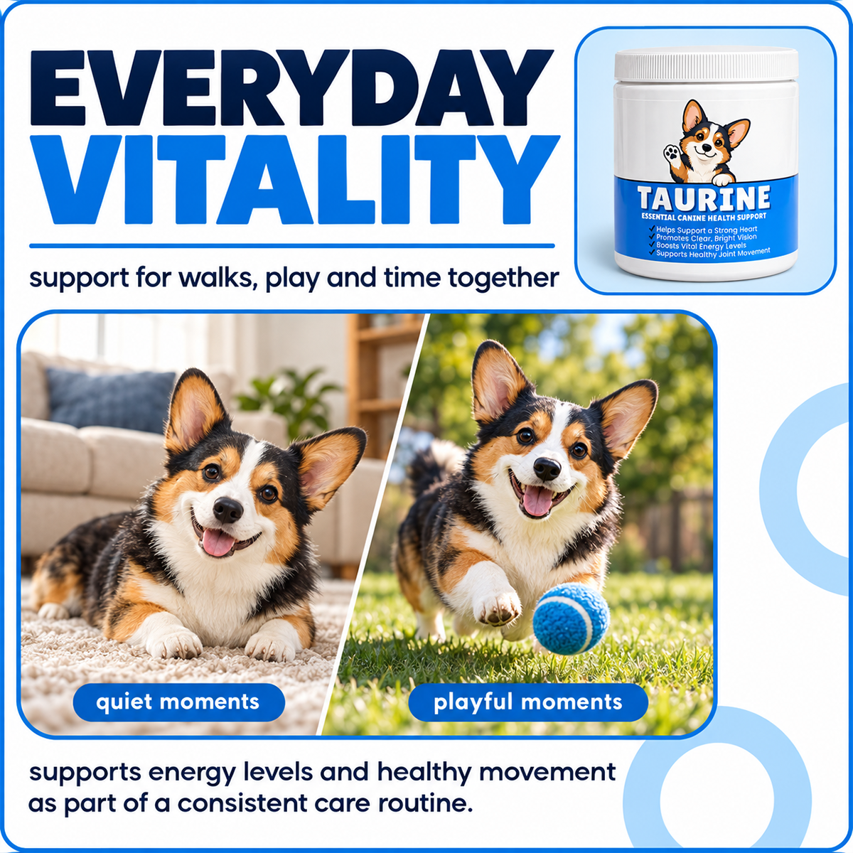 Dog Taurine Nutritional Supplement for Respiratory Support