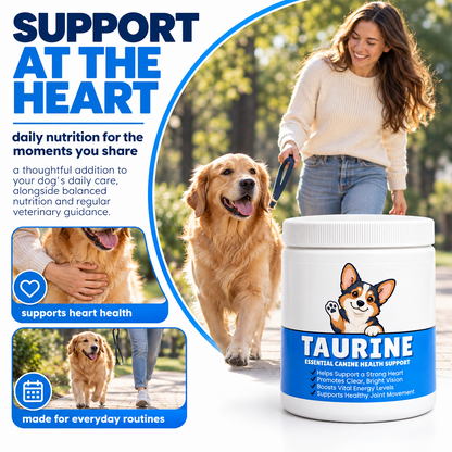 Dog Taurine Nutritional Supplement for Respiratory Support