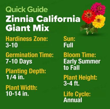 🔥Zinnia Seeds - Pure Seeds - No Filler - Heirloom Flower Seeds