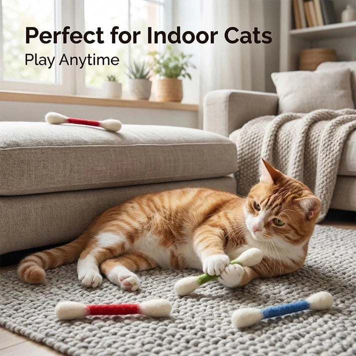 6 Pack Large Catnip Swab Interactive Toys for Indoor Cats